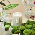 Mokara Small Jar Candle 5.5 OZ