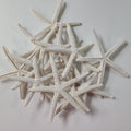 3-4″ WHITE STAR - Sax Style
