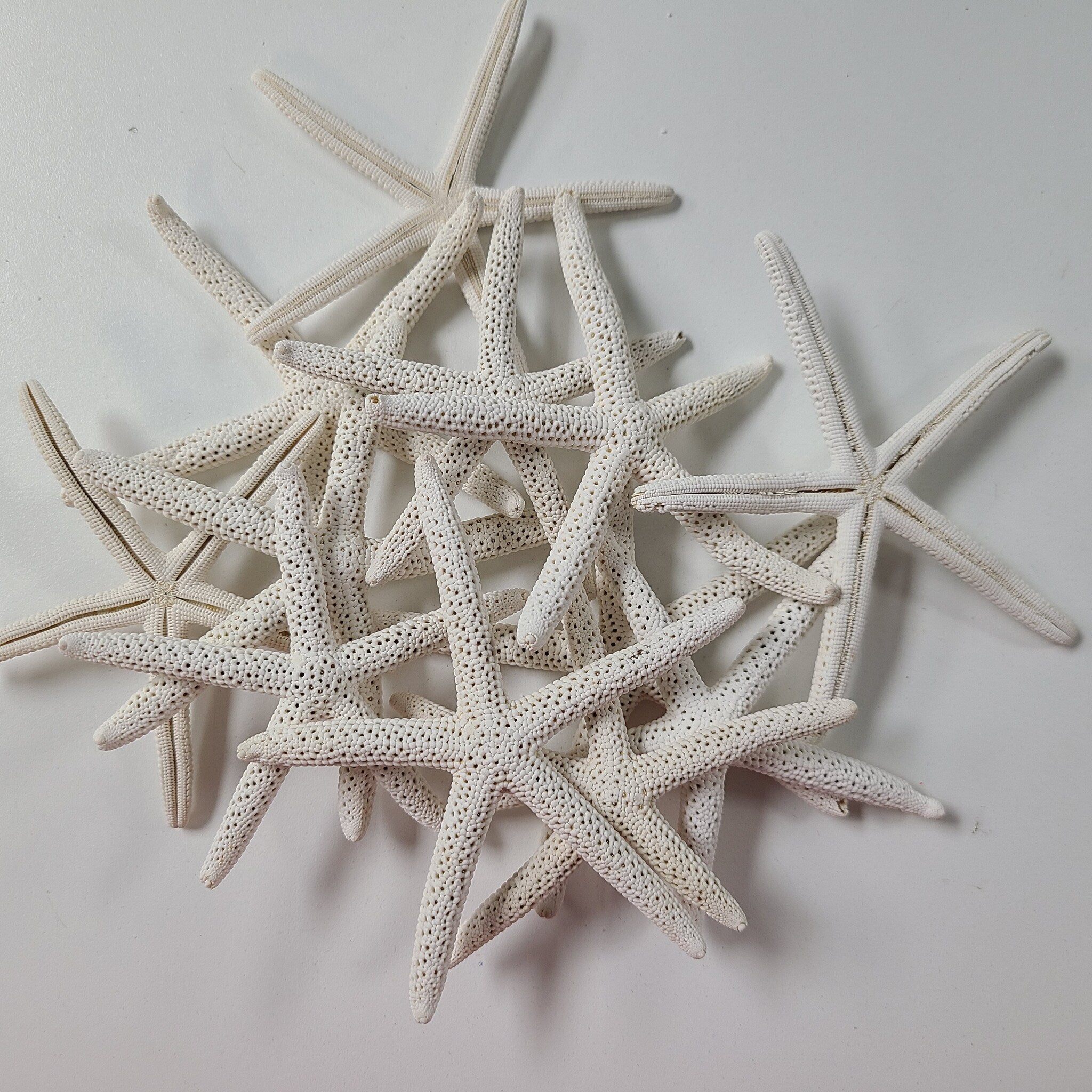 4-6" STAR