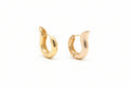 ELEGANCE GOLDEN EARRINGS