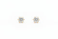 CRYSTAL WHISPER EARRINGS