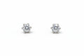 EARRINGS BRISA