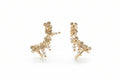 EARRINGS SALSA