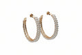 EARRINGS AMOR DE PERLA