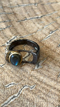 RINGS STEMS